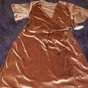 JCPenney, Blush Velvet Wrap Dress and matching velvet rope w/ fringe ends.